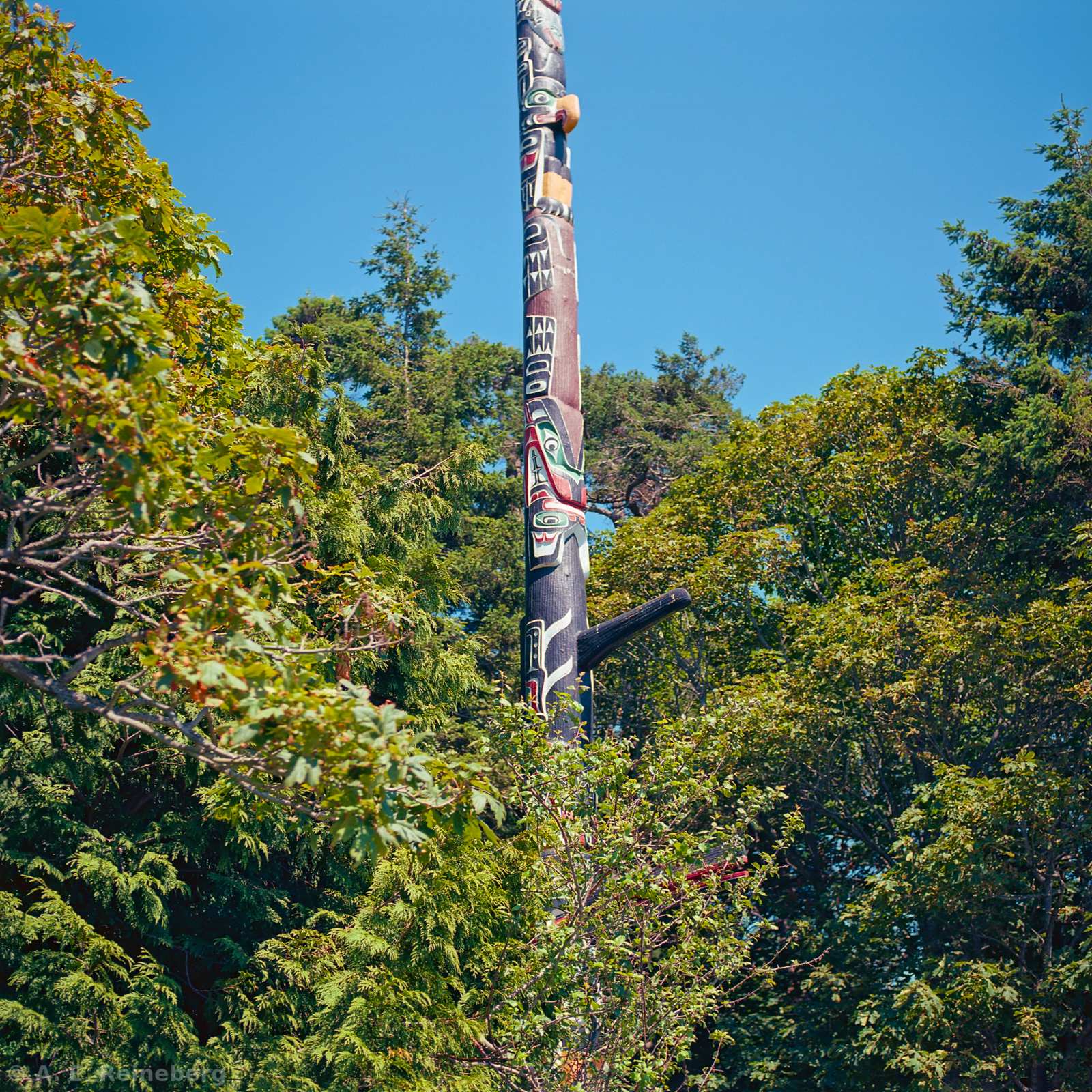 Exploring Vancouver and Surrounding Islands