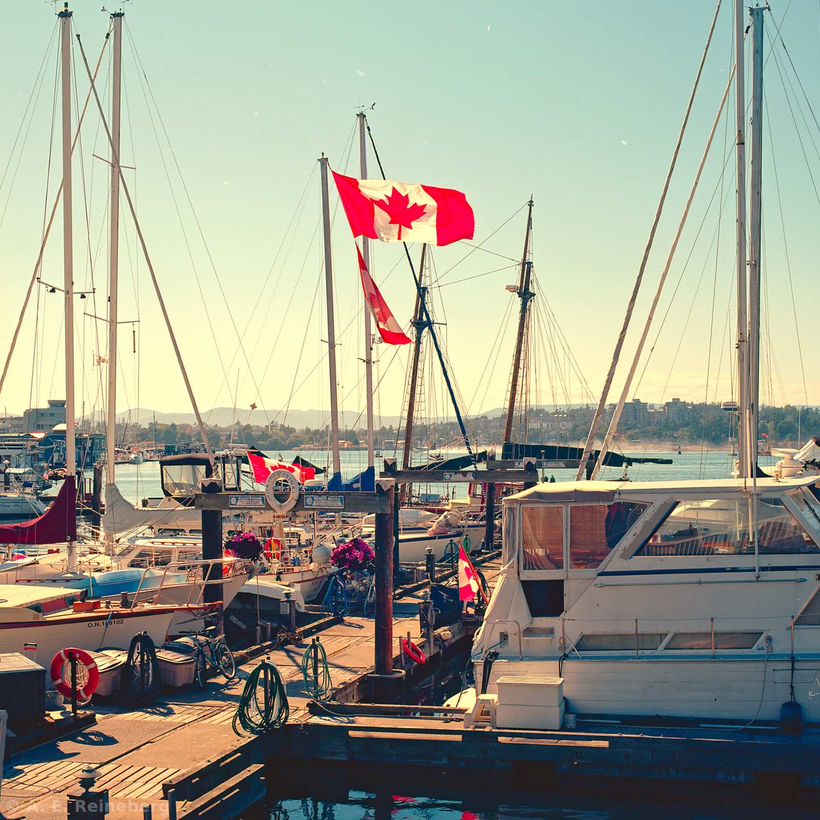 Exploring Vancouver and Surrounding Islands