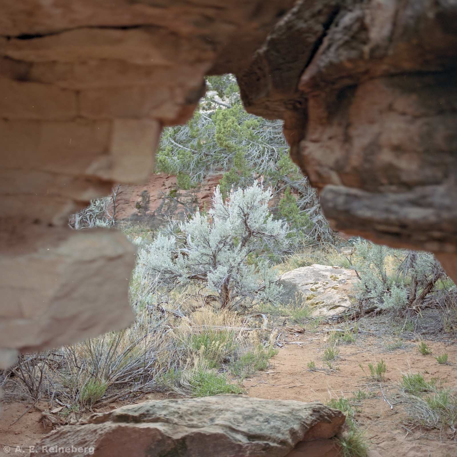Utah camping in March