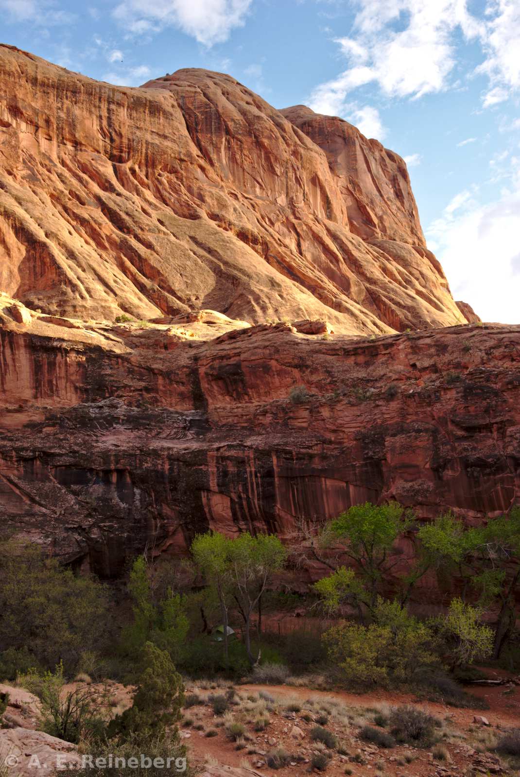 Utah camping in March