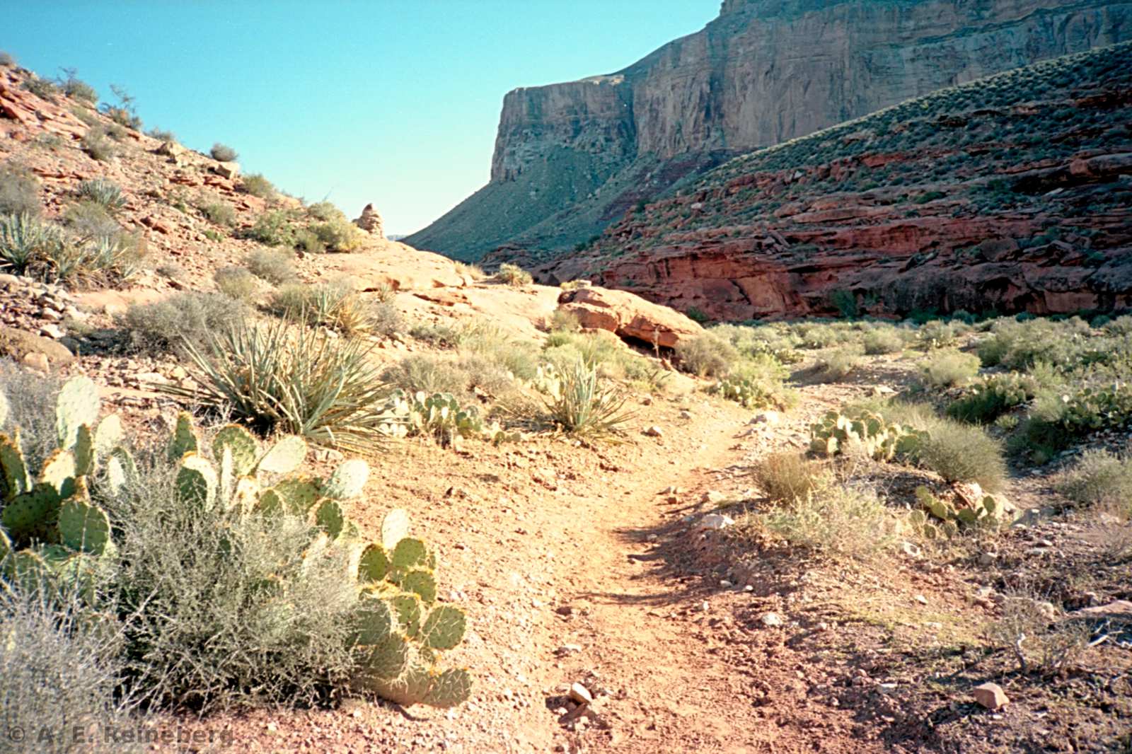 Havasu Falls and Grand Canyon