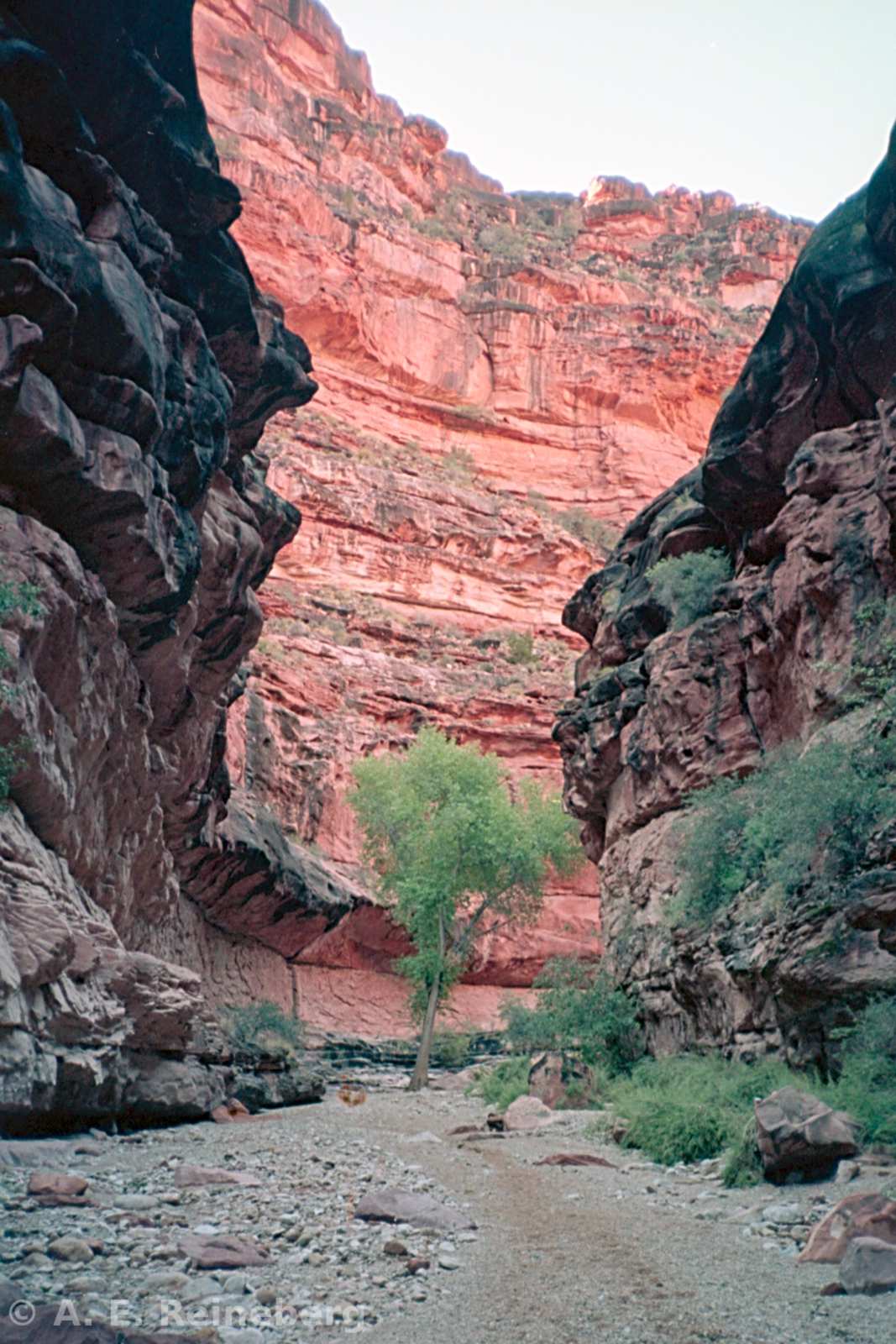 Havasu Falls and Grand Canyon