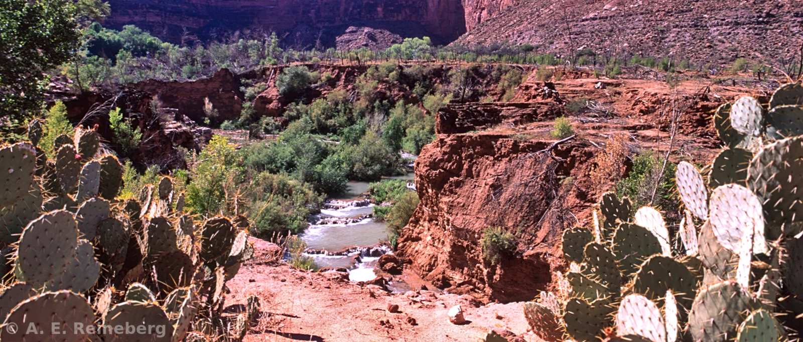 Havasu Falls and Grand Canyon