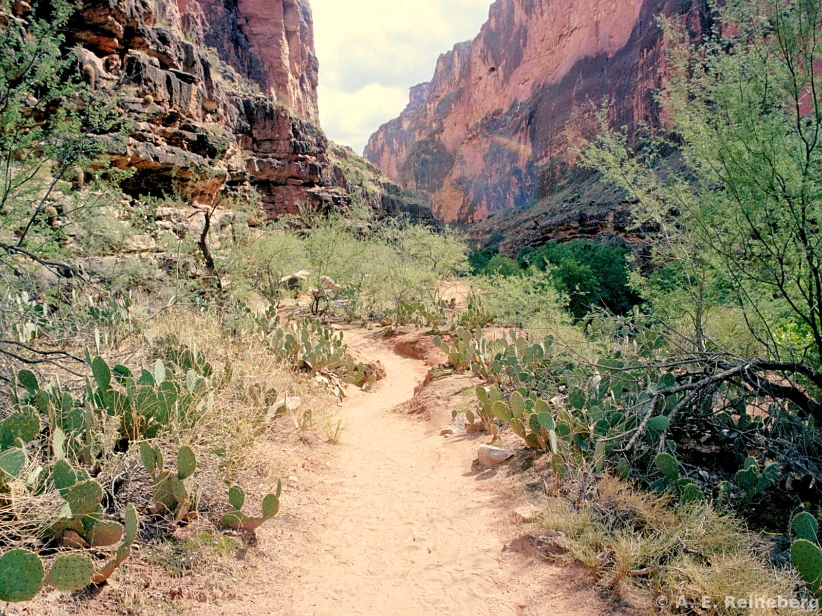 Havasu Falls and Grand Canyon
