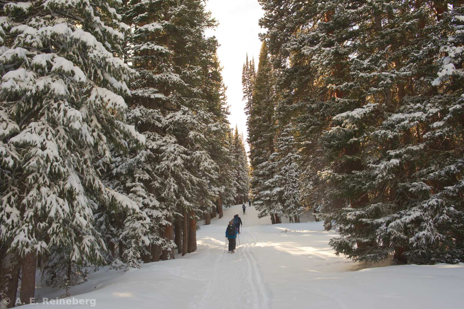 A winter trip to Chuck's Cabin