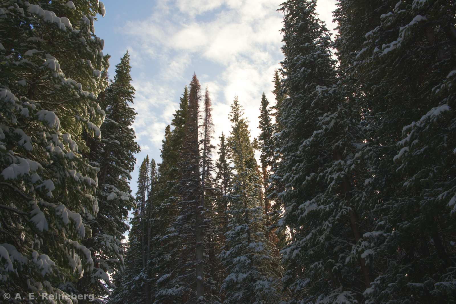 A winter trip to Chuck's Cabin
