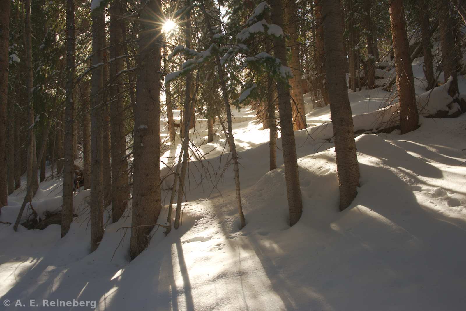 A winter trip to Chuck's Cabin