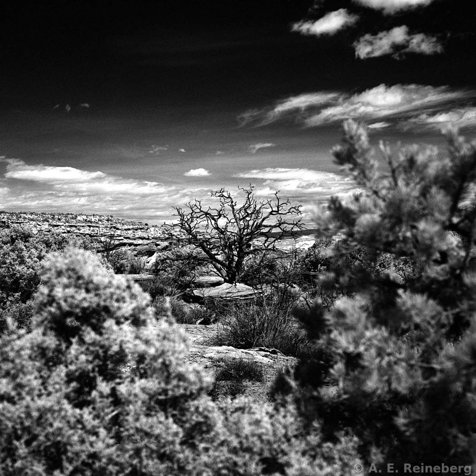 Spring trip to Utah