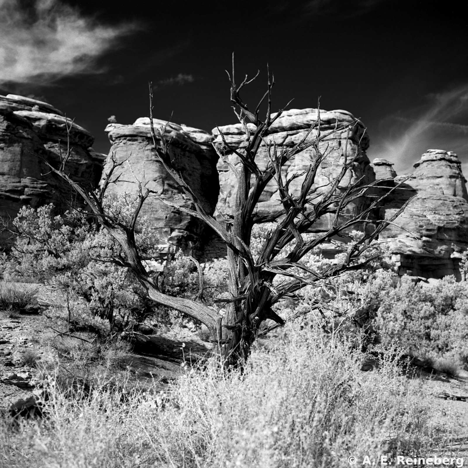 Spring trip to Utah
