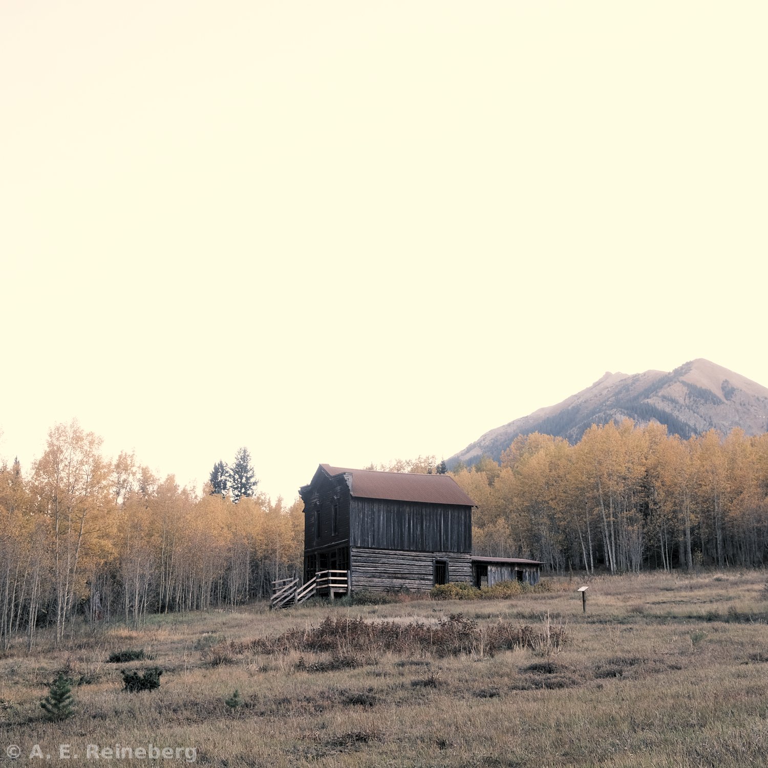 fall portfolio