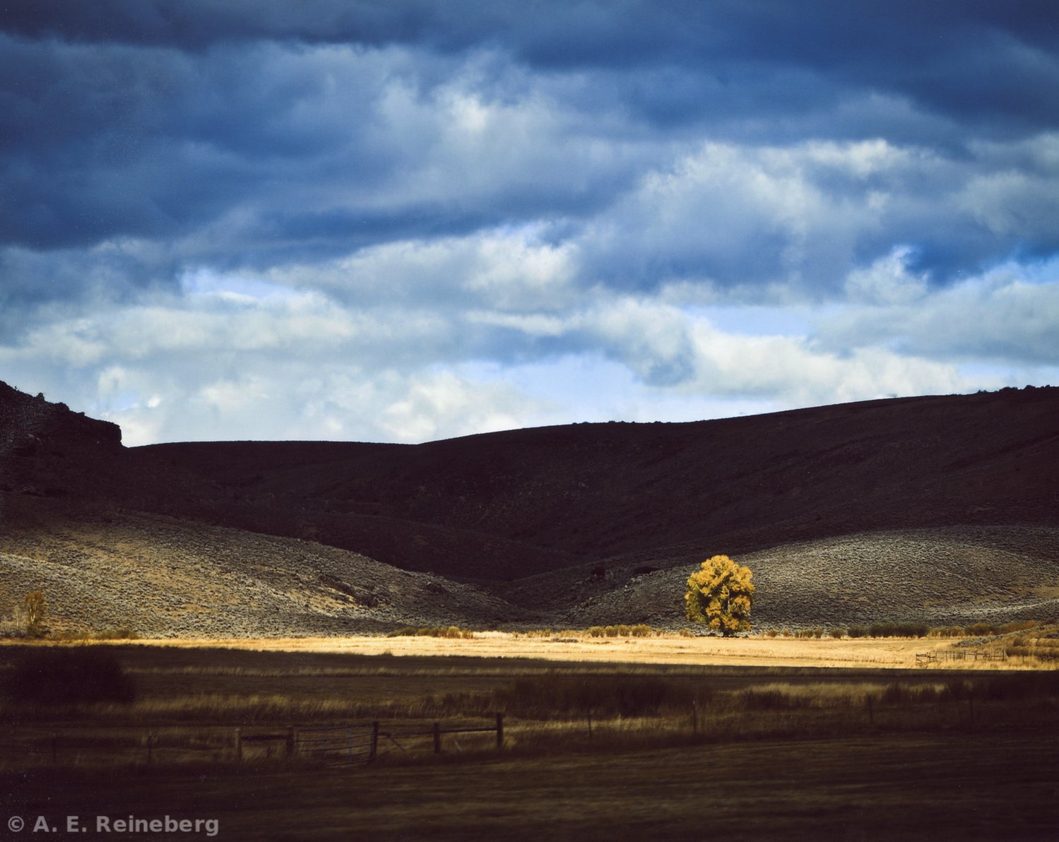 fall portfolio