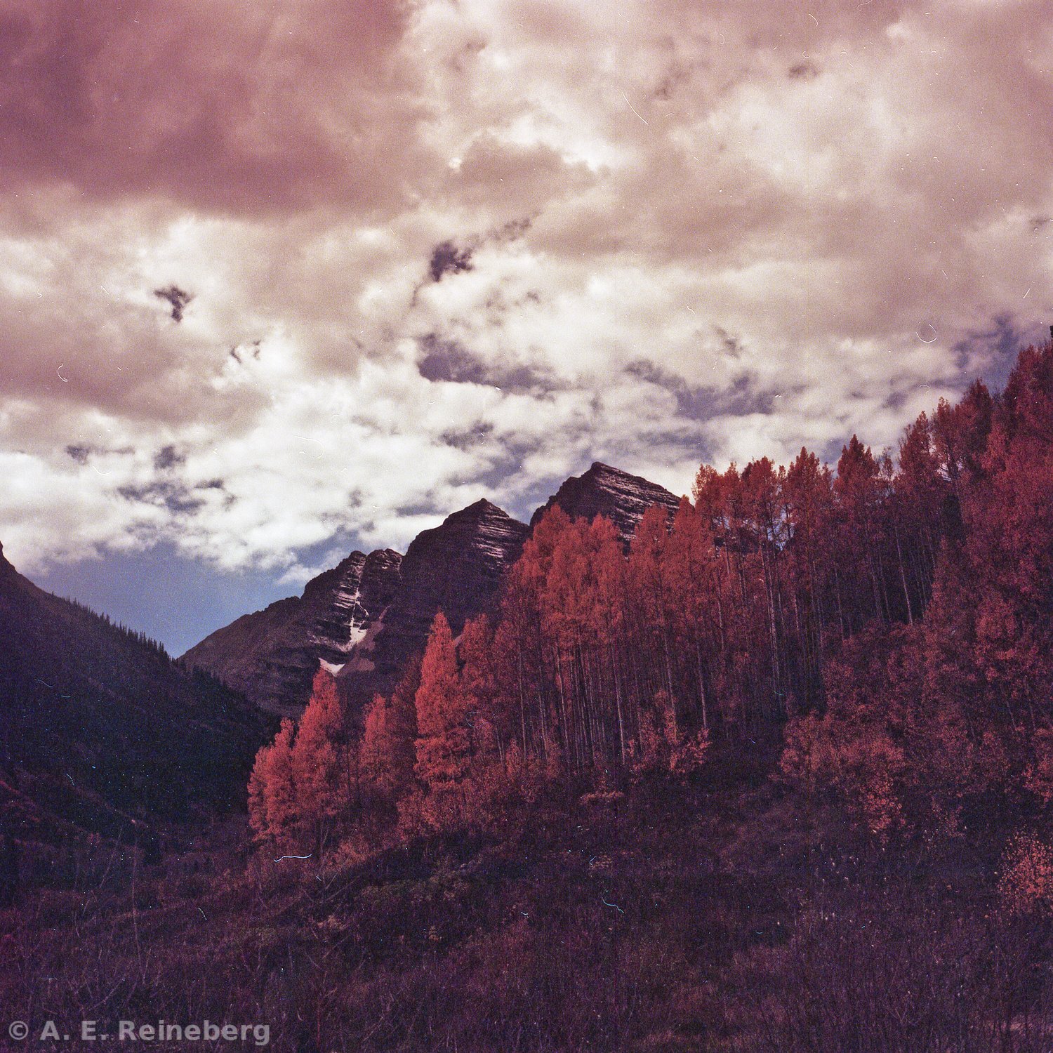 fall portfolio
