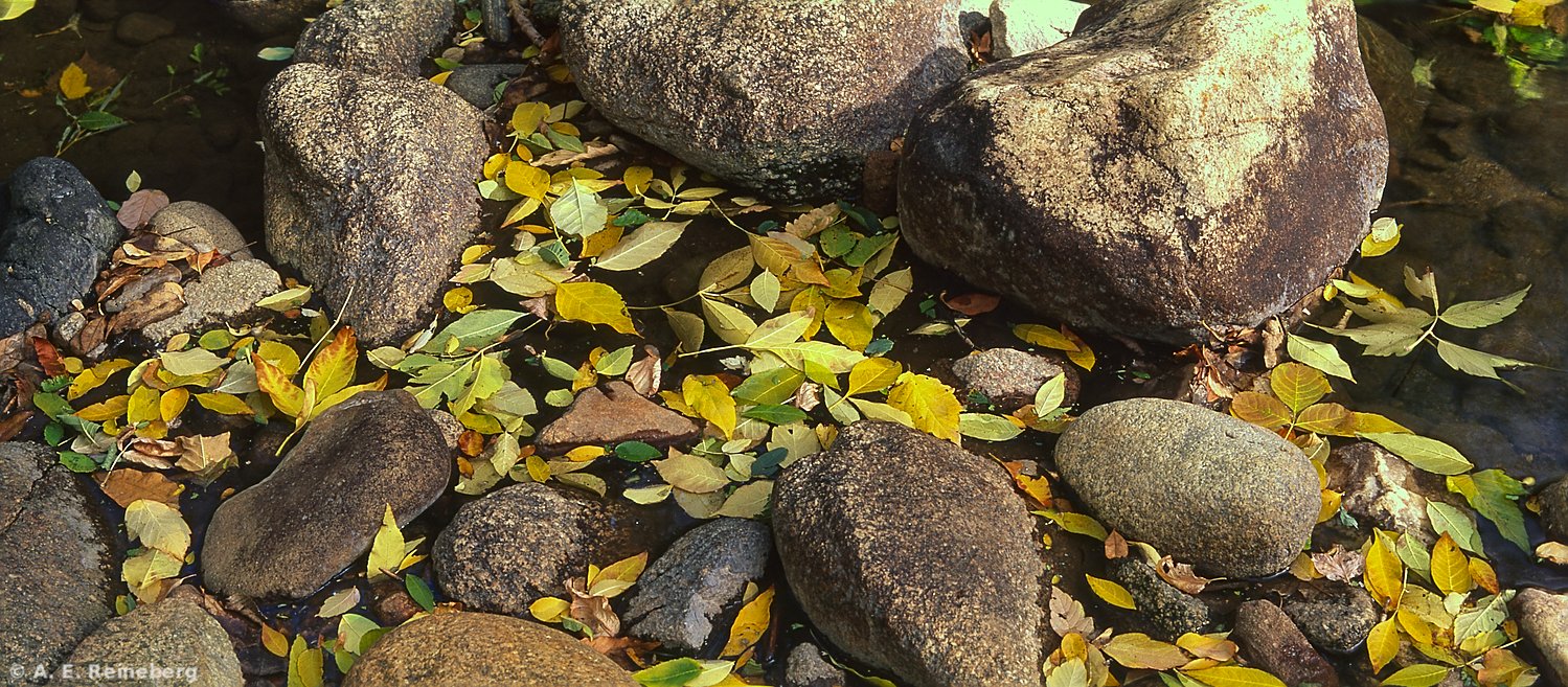 fall portfolio