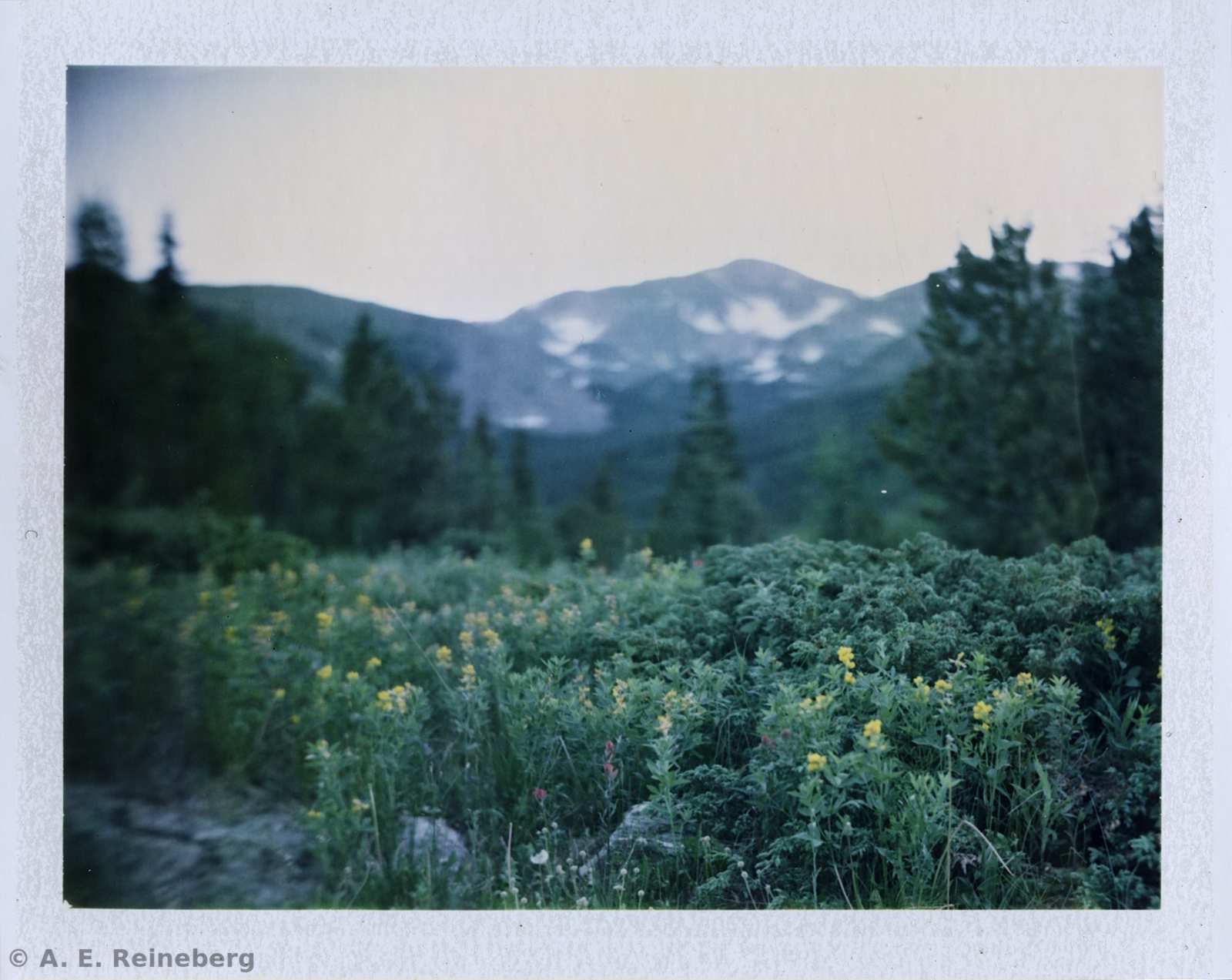 Polaroid project by Andrew Reineberg