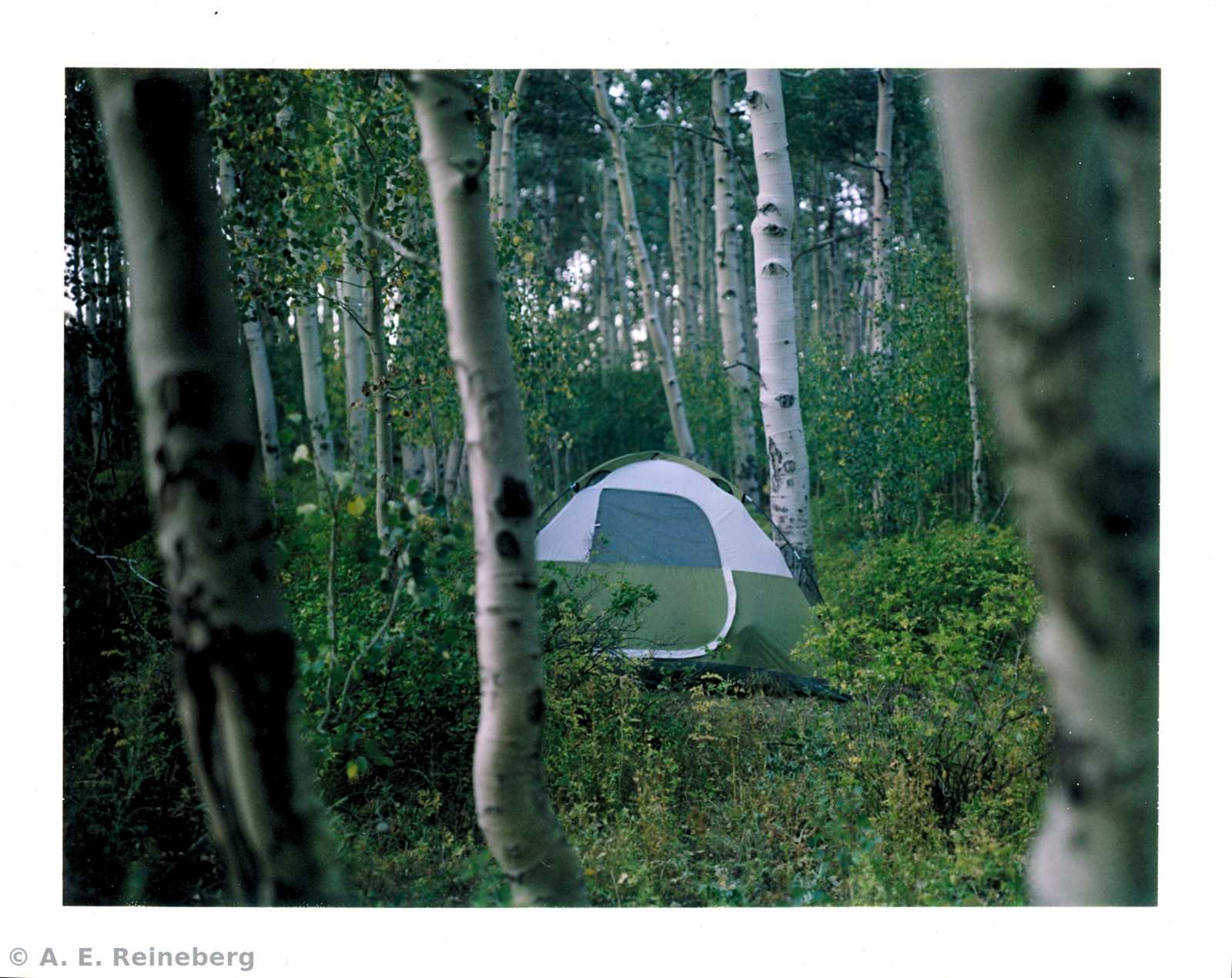 Polaroid project by Andrew Reineberg