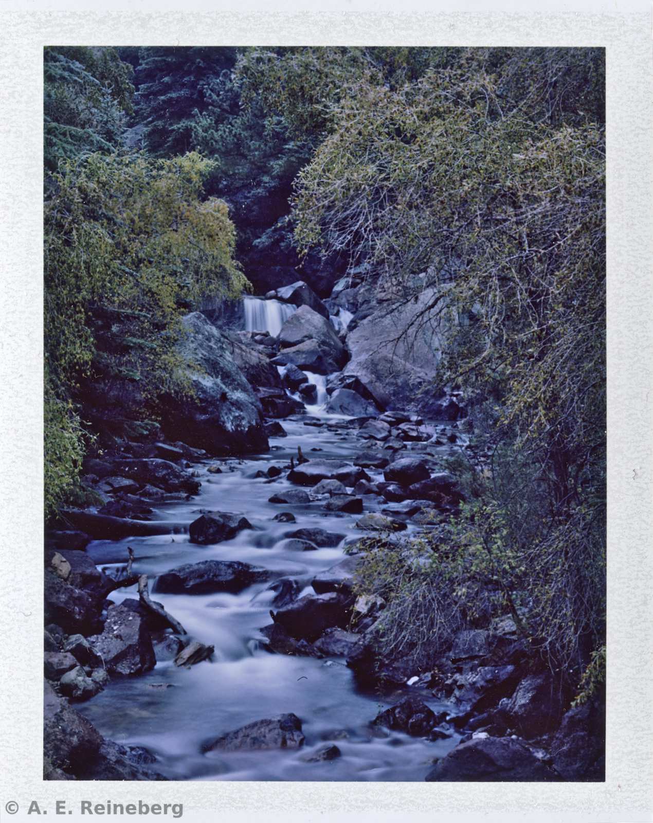 Polaroid project by Andrew Reineberg