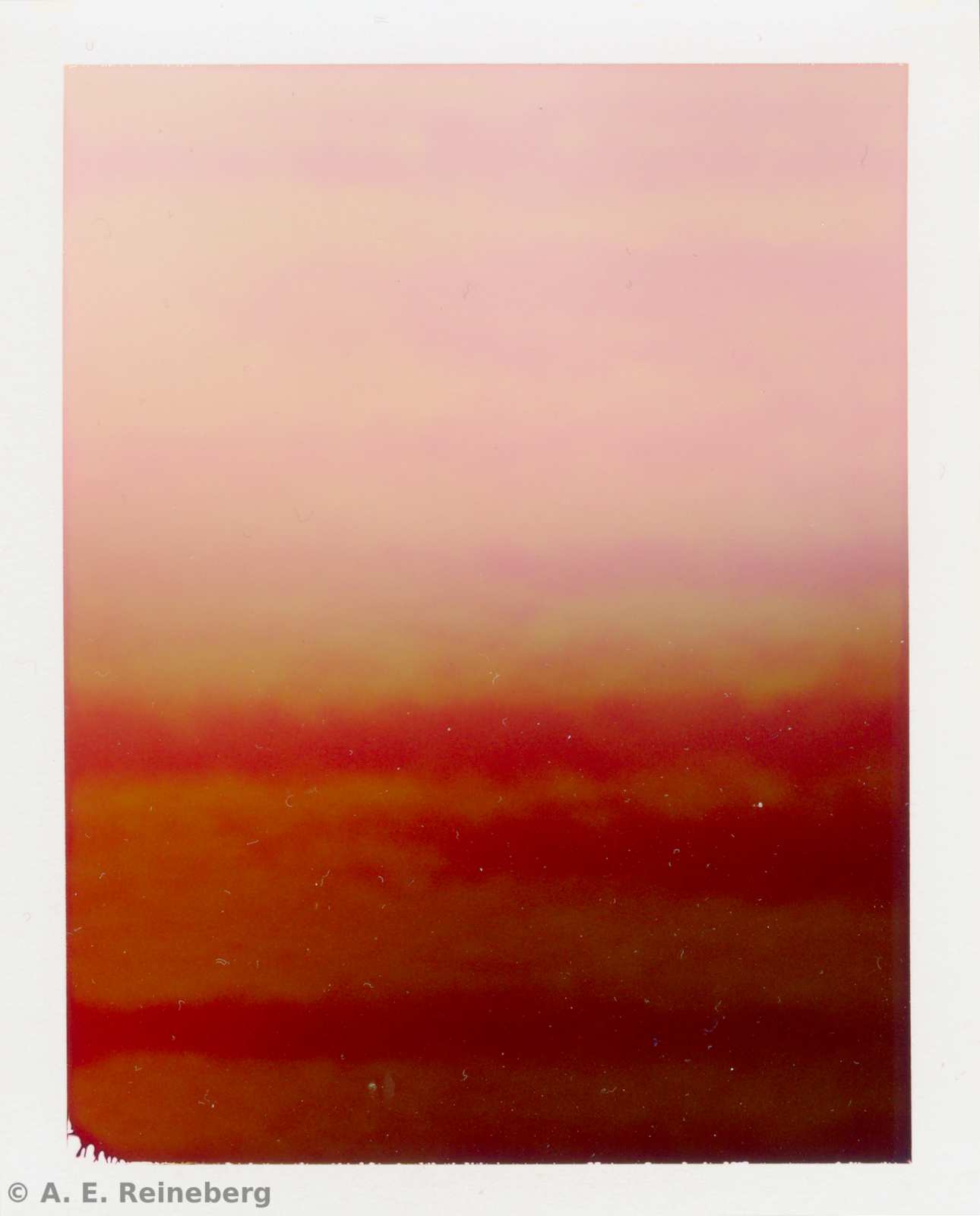 Polaroid project by Andrew Reineberg