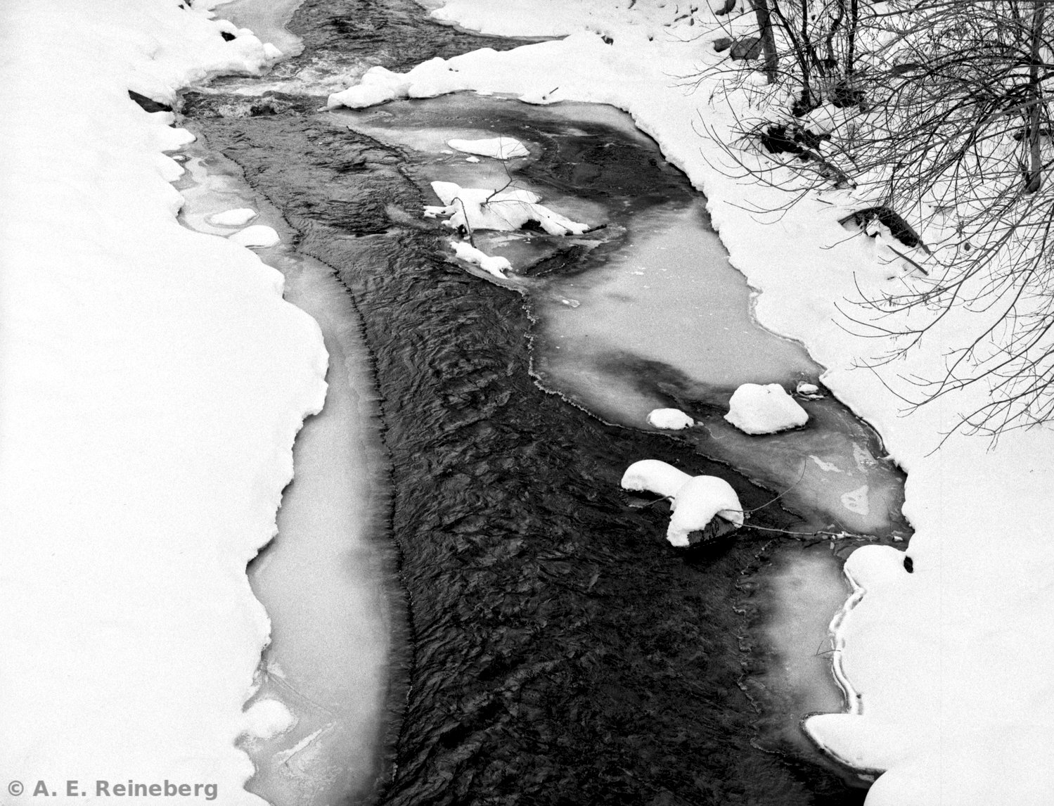 winter portfolio