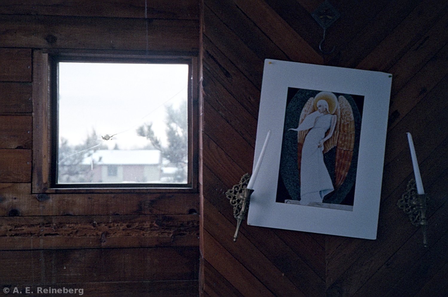 winter portfolio