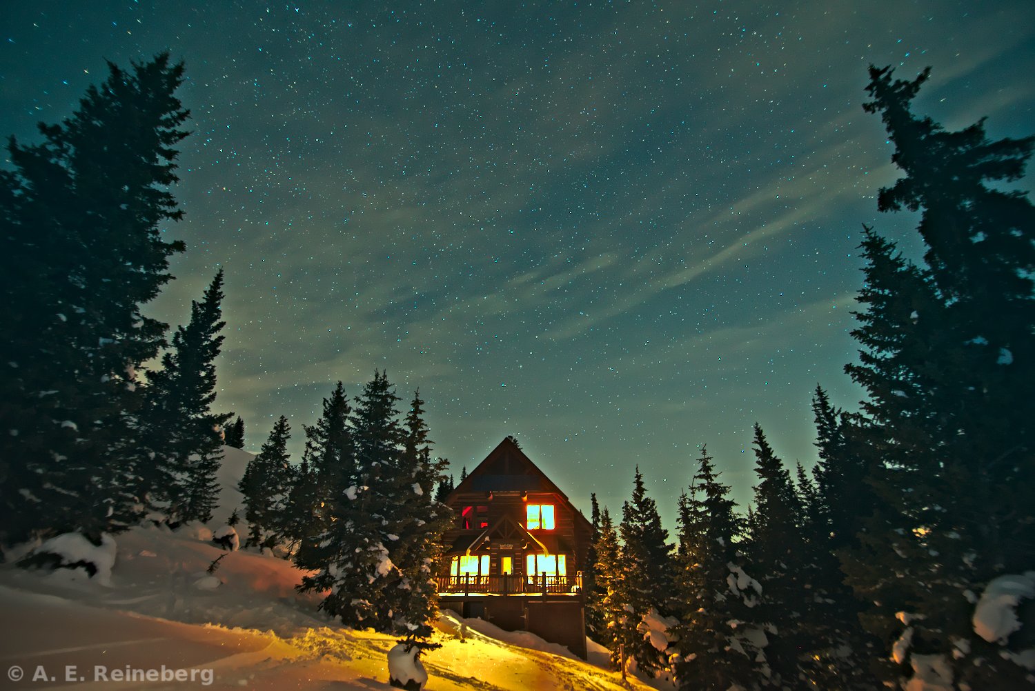 winter portfolio