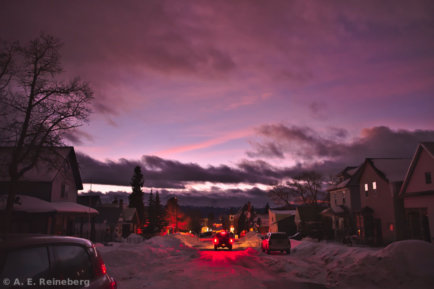 winter portfolio