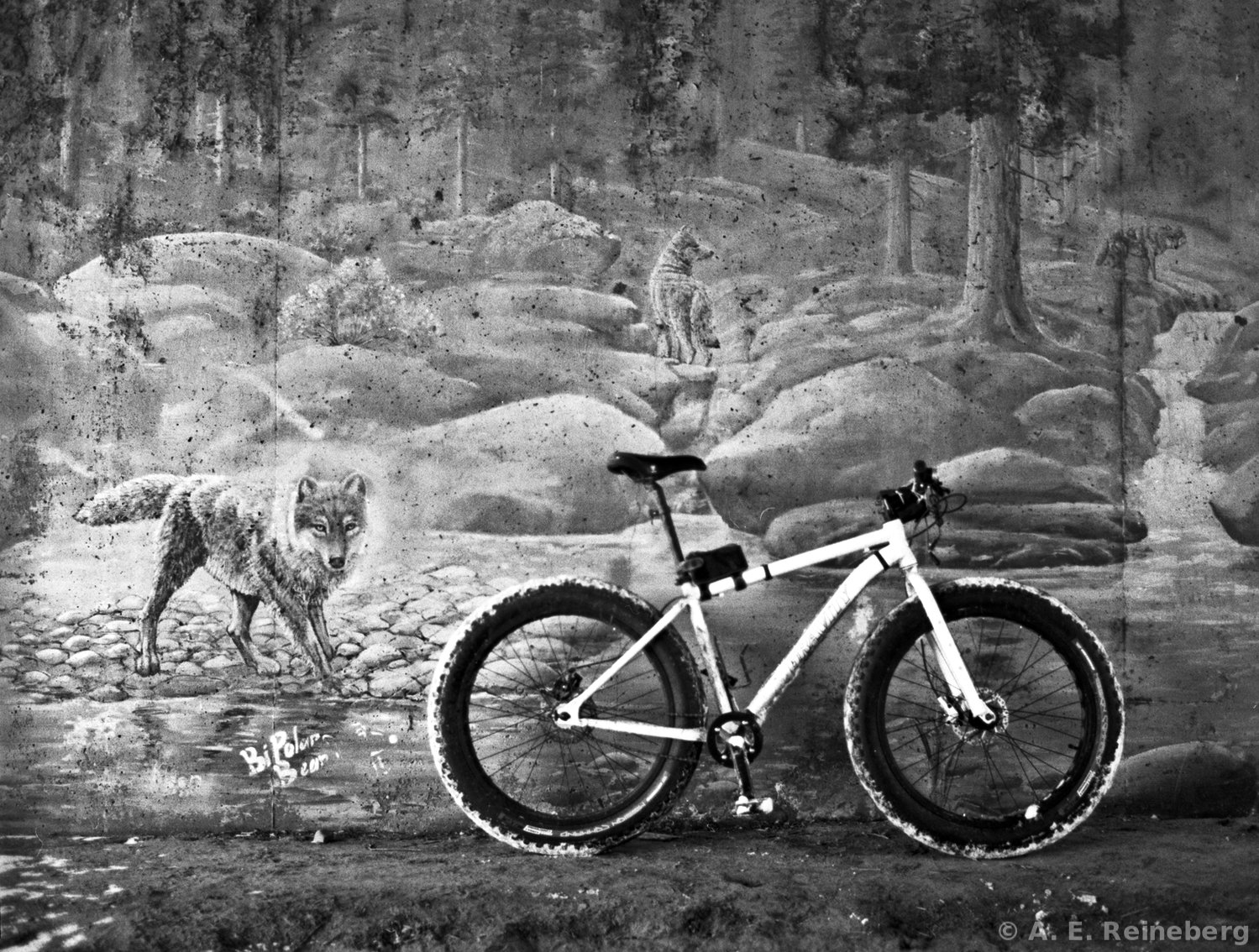 winter portfolio